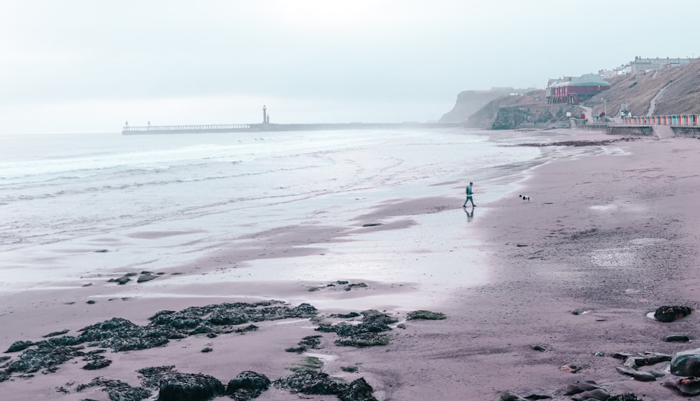 person walking on beach shore during daytime