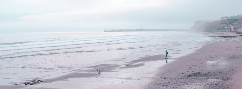 person walking on snow covered field during daytime