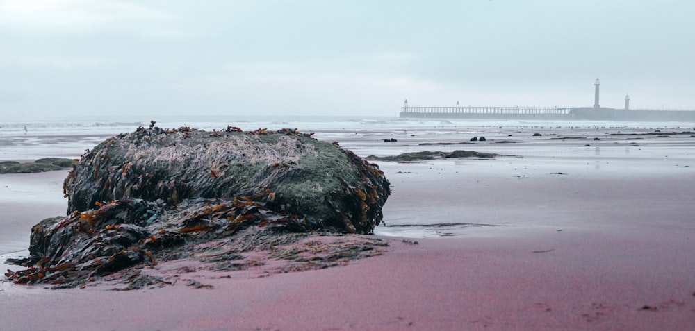 brown rock formation on sea shore during daytime