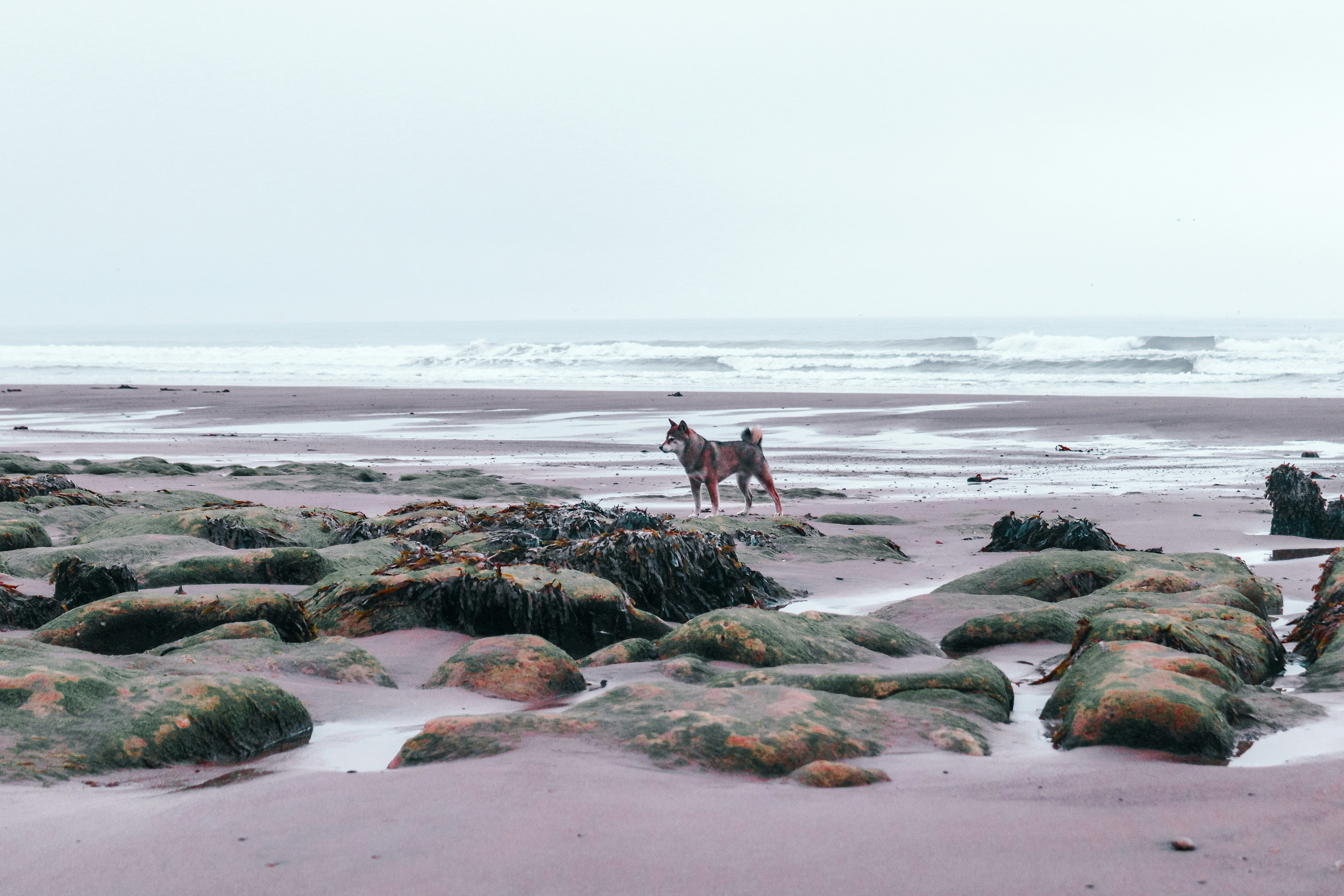 2 people sitting on brown rock near sea during daytime