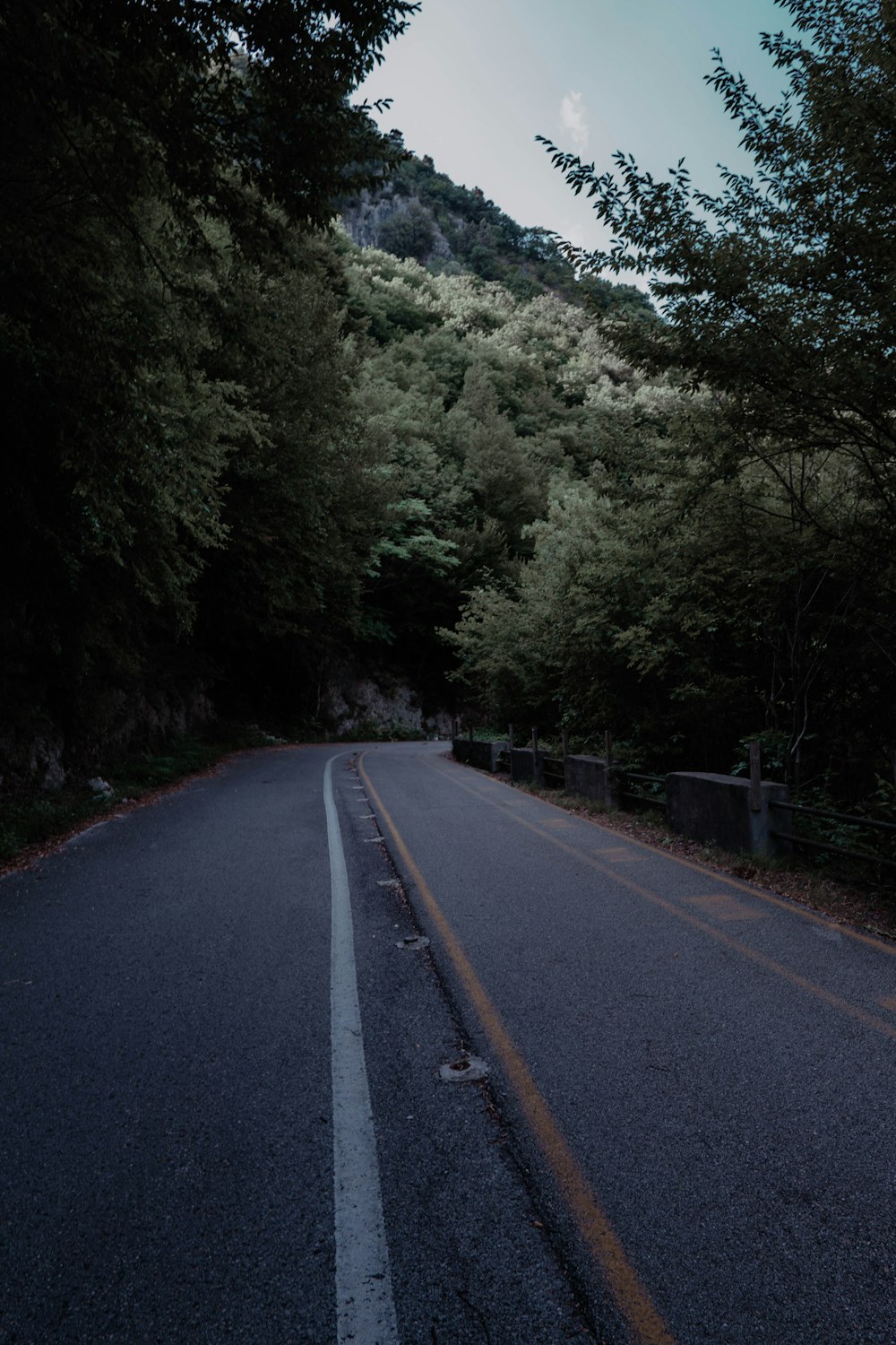 gray concrete road between green trees during daytime