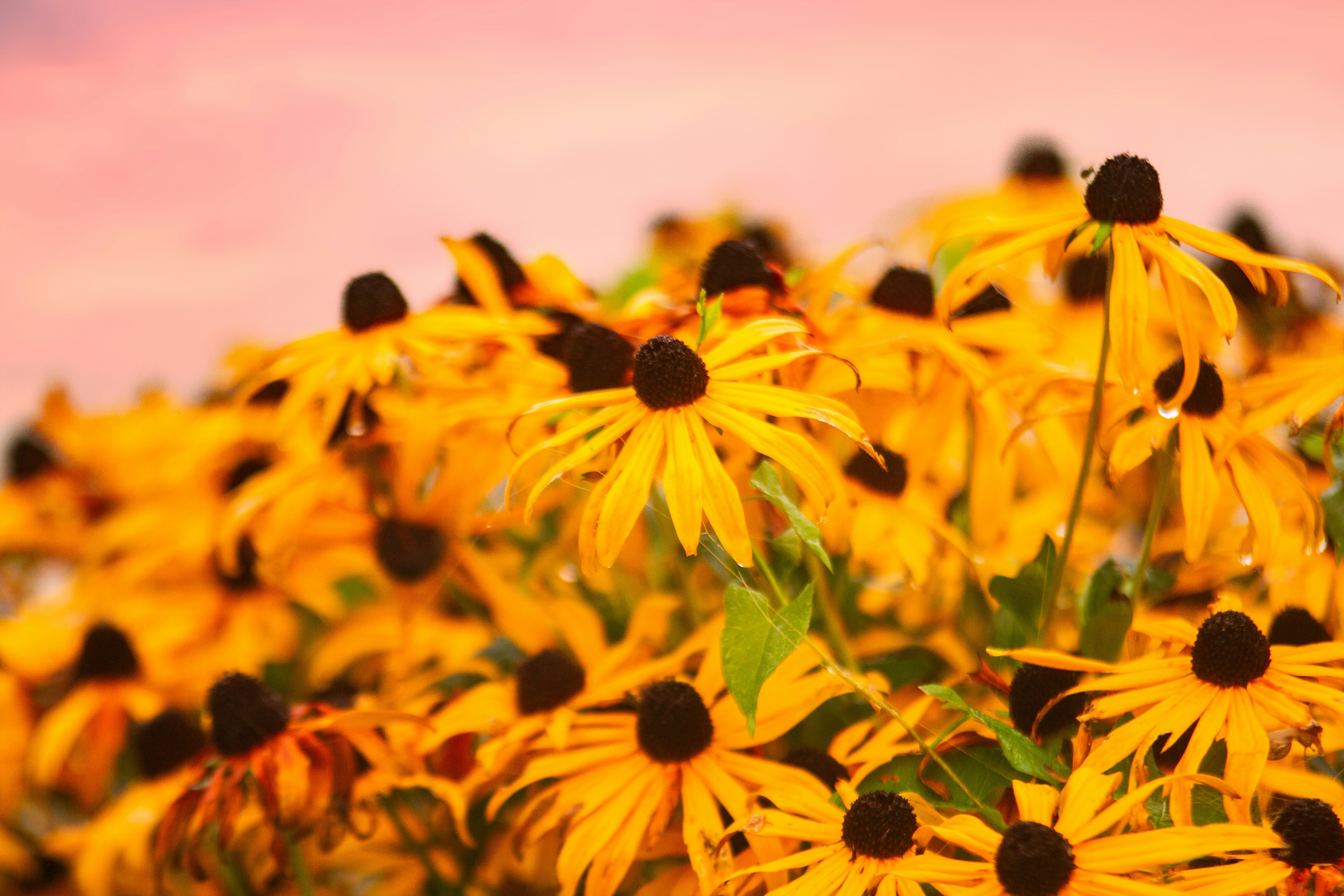 Photo by alm_fotografie