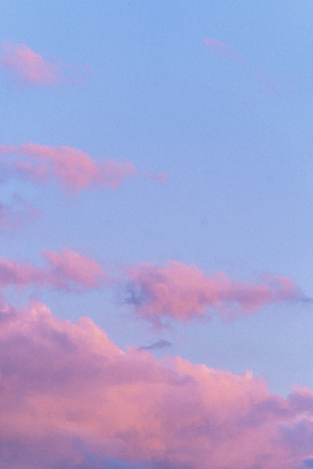 pink and blue cloudy sky