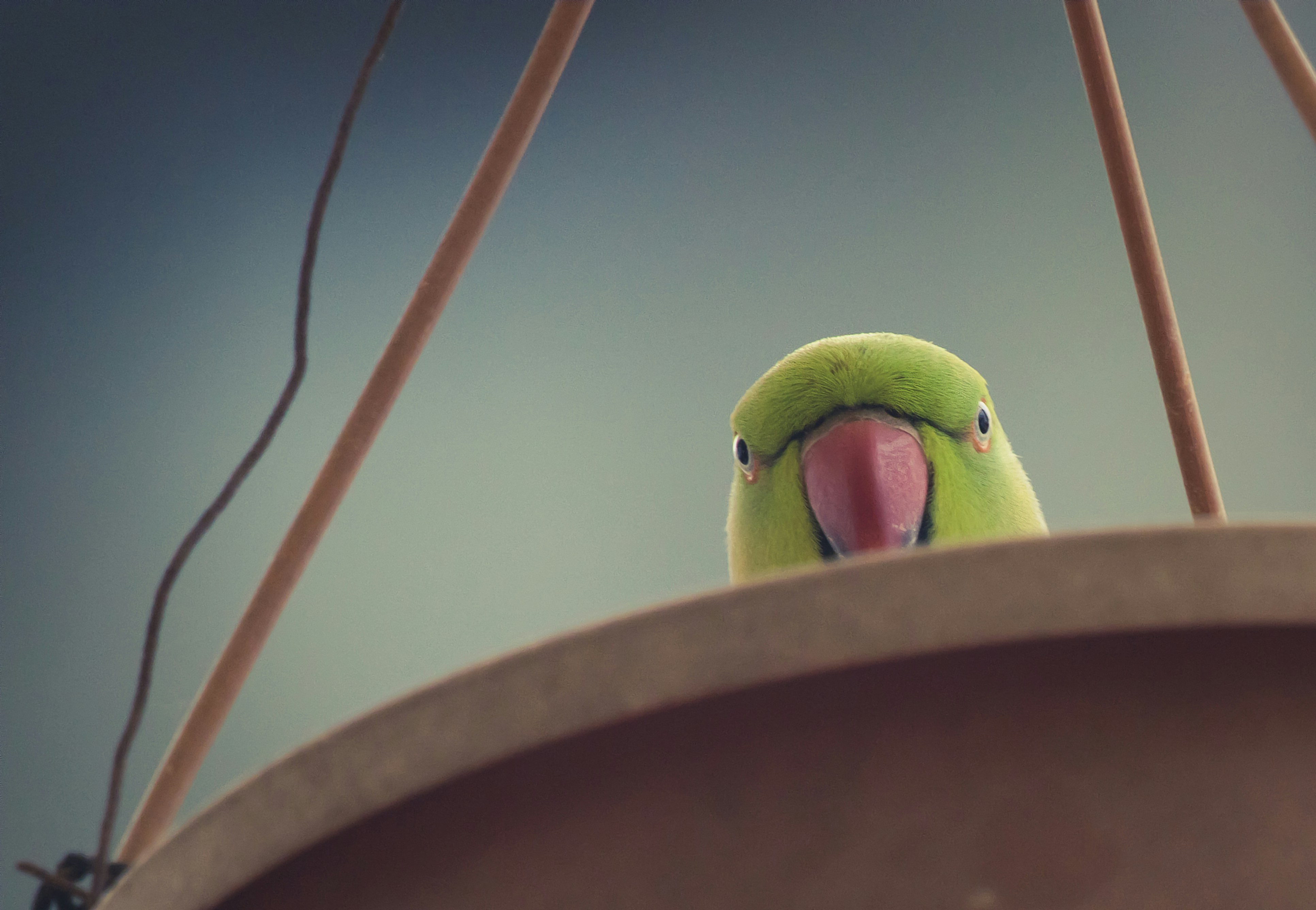 Photo by wildandbeyondbyvivek