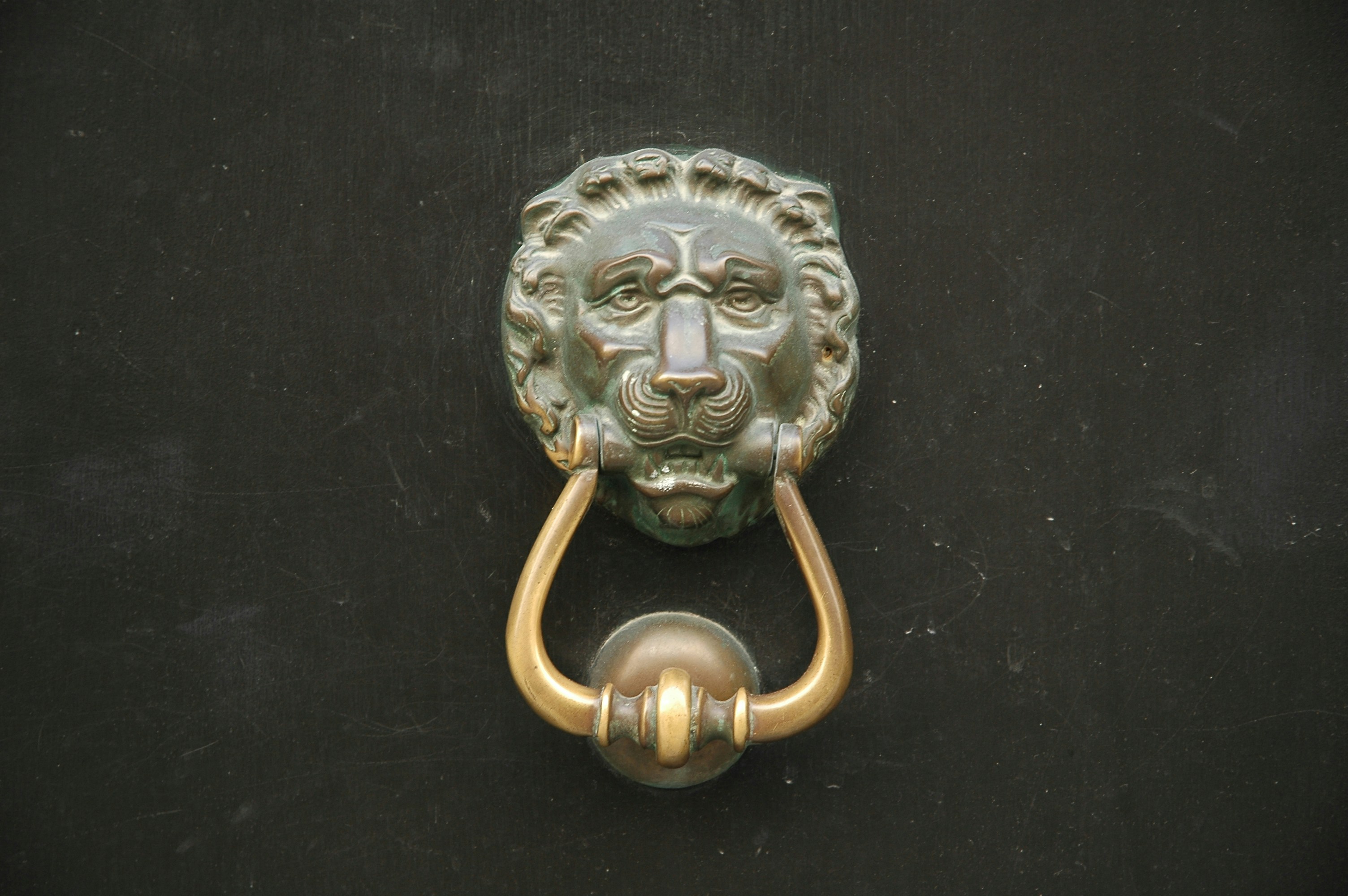 maniglia della porta con testa di leone d'argento