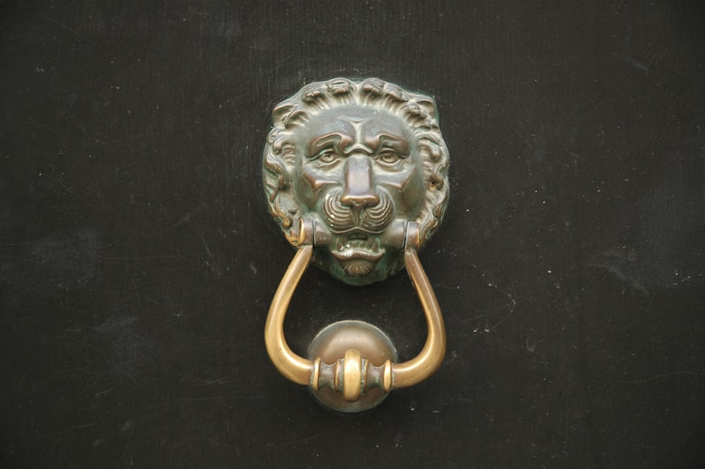 silver lion head door handle