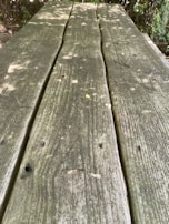 Sunlight filtering through leaves onto a rustic wooden table with scattered notes.