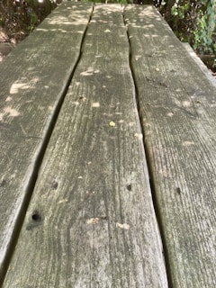 Sunlight filtering through leaves onto a rustic wooden table with scattered notes.