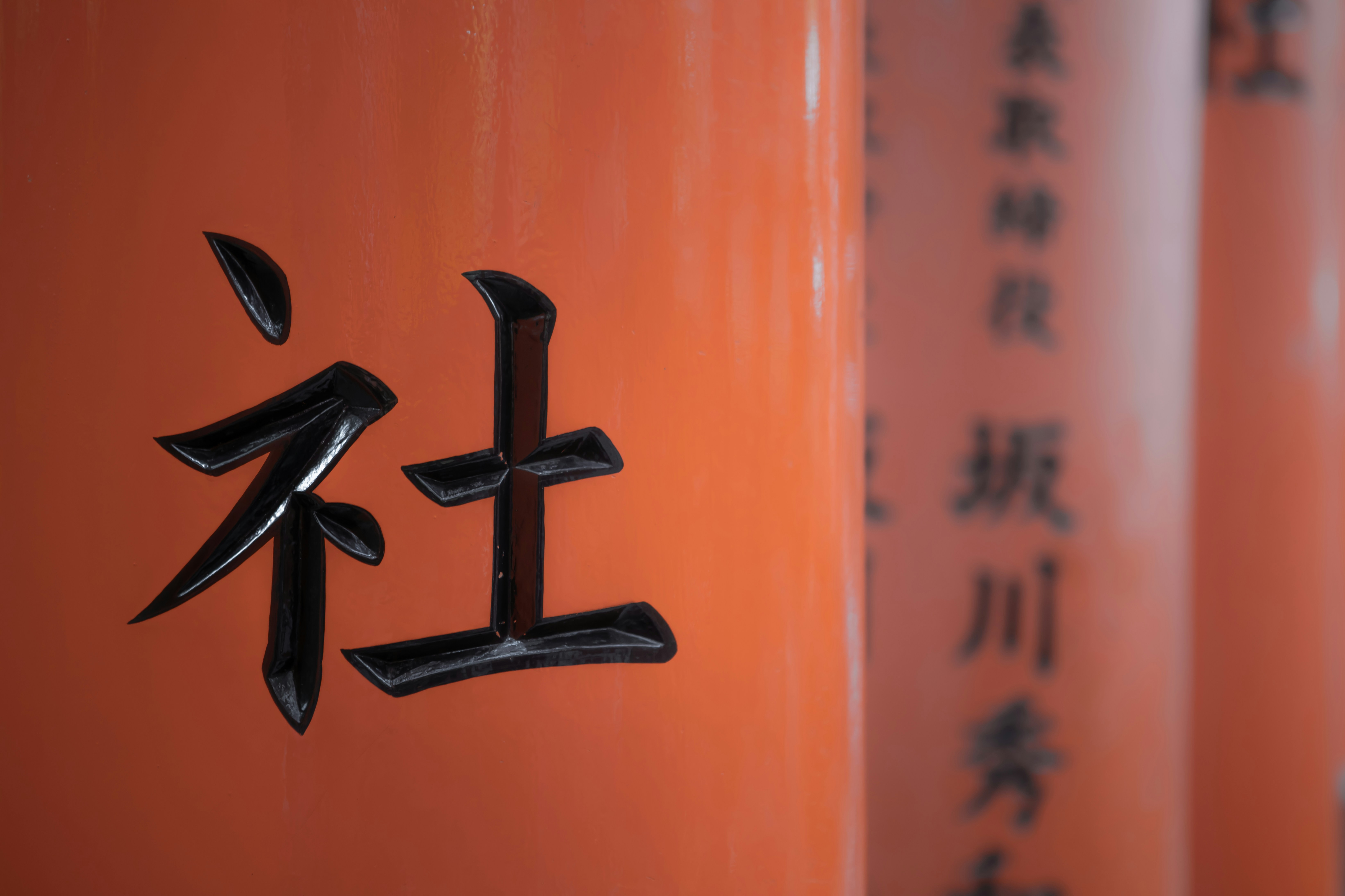 photo 1630666618294 4f22d42c75c1?crop=entropy&cs=tinysrgb&fit=max&fm=jpg&ixid=M3w1MjQ0NjR8MHwxfHNlYXJjaHwxMXx8VHJhZGVtYXJrJTIwc3ltYm9sfGVufDB8MHx8fDE3MjQyOTc3Nzd8MA&ixlib=rb 4.0