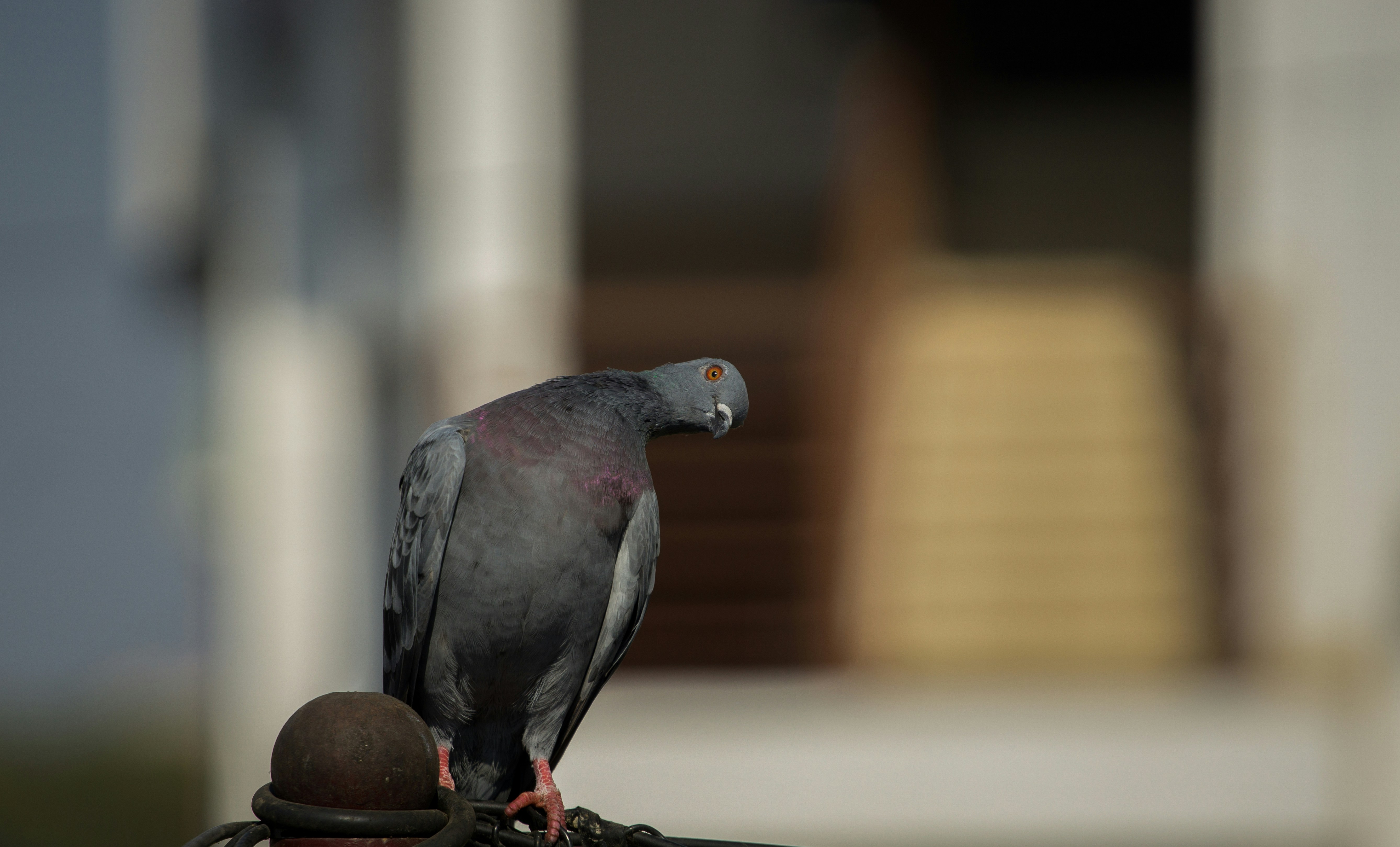 Photo by gowthams_photography