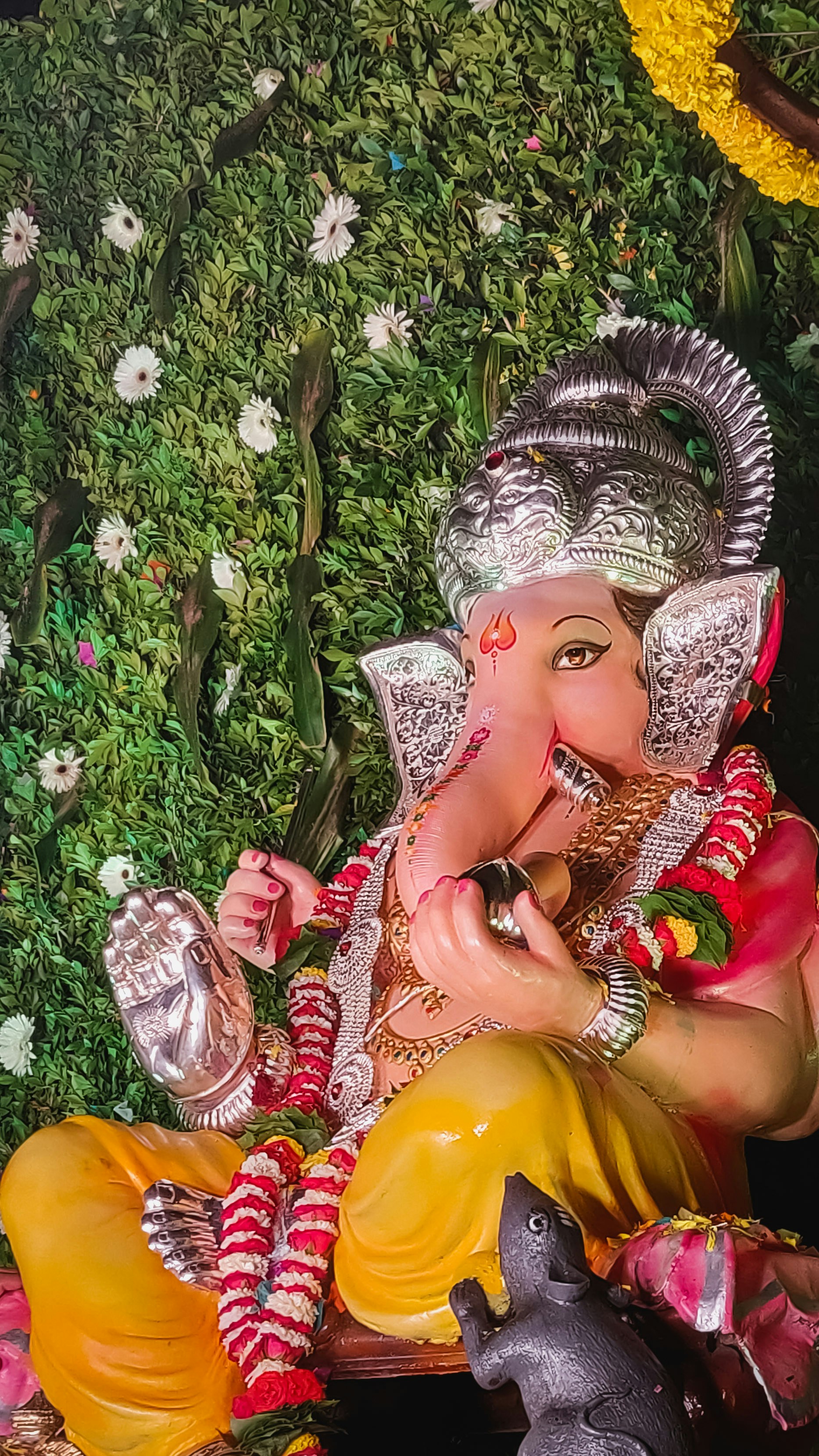 Ganpati Bappa | 10 best free ganpati bappa, human, festival and ...