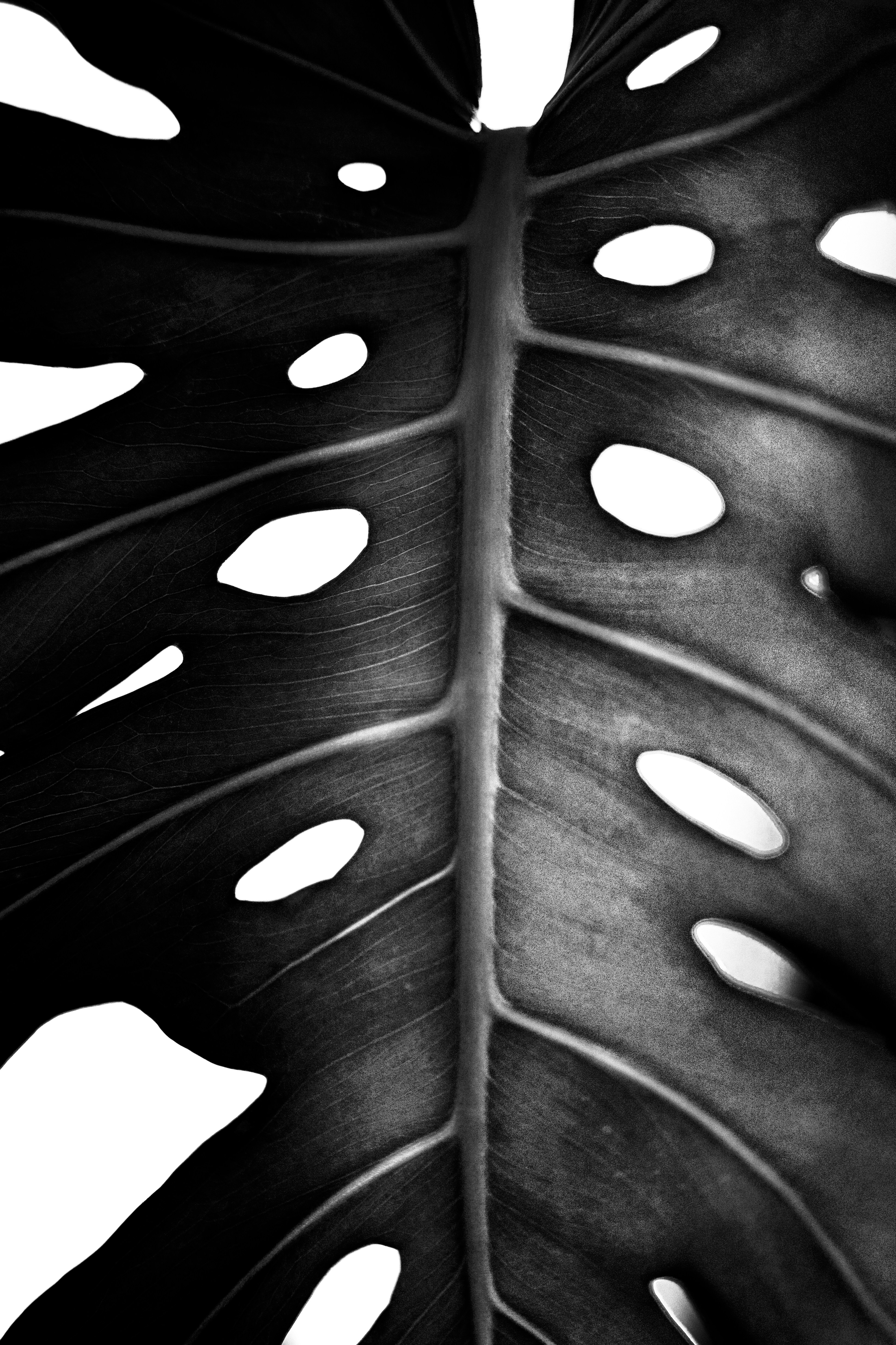 Photo by glaskova