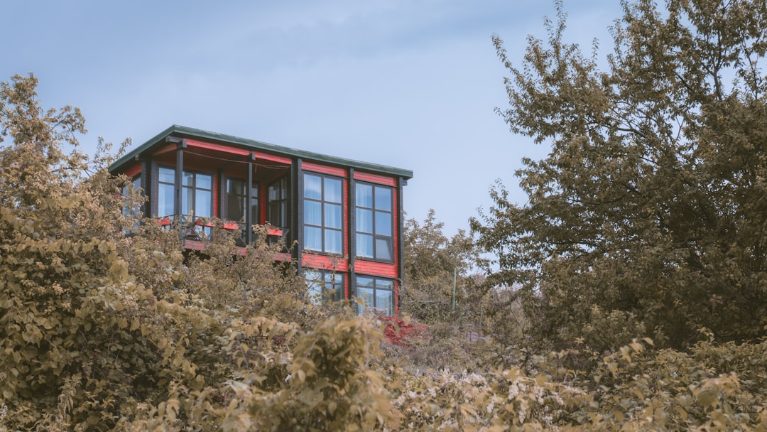 red and white concrete building near green trees during daytime