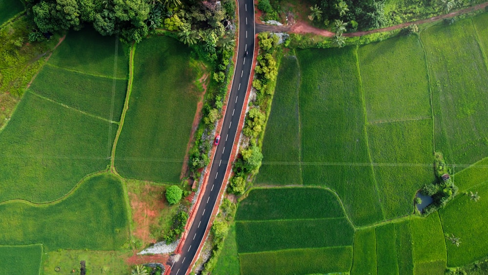 aerial view of green grass field