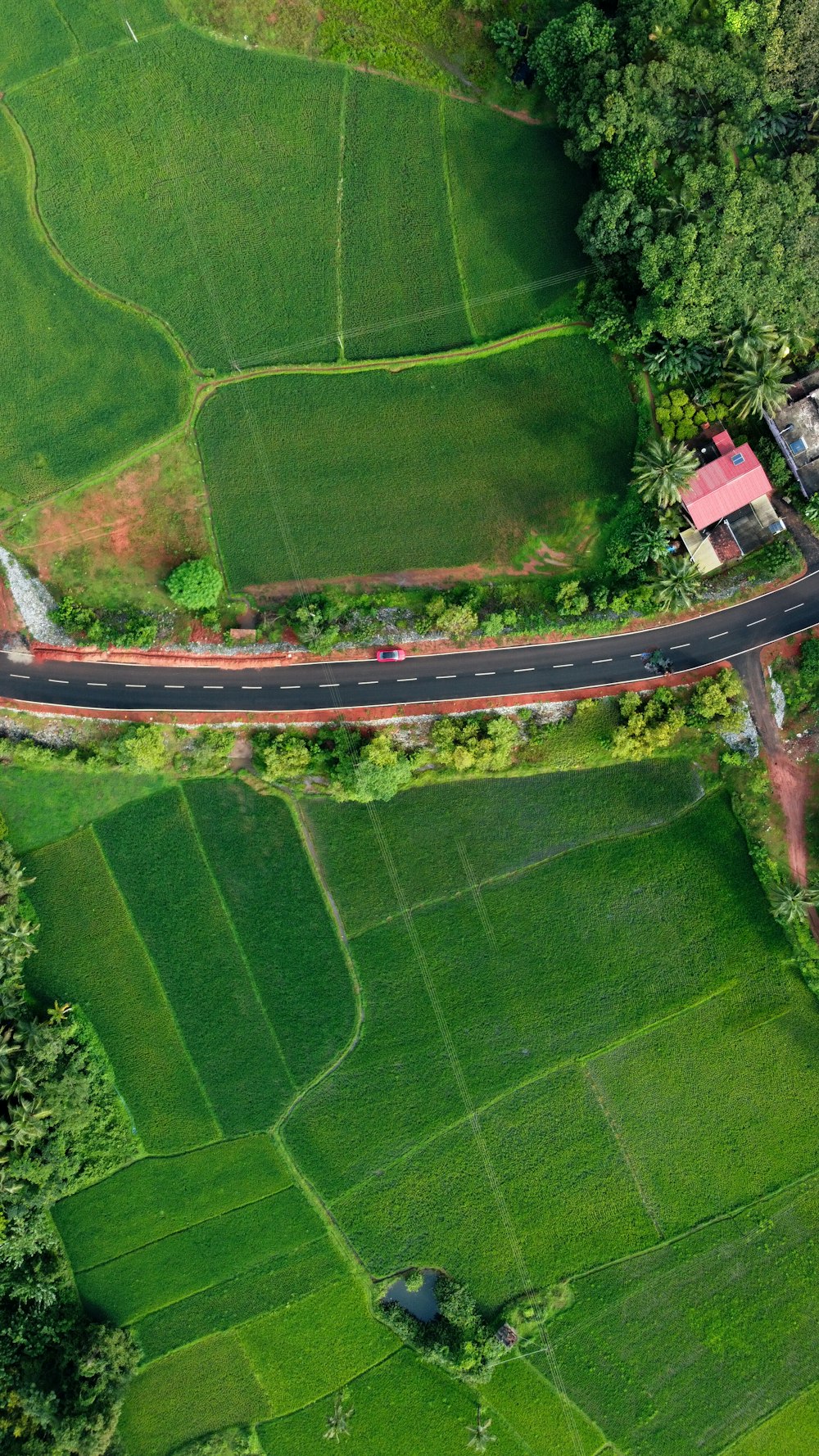 aerial view of green grass field