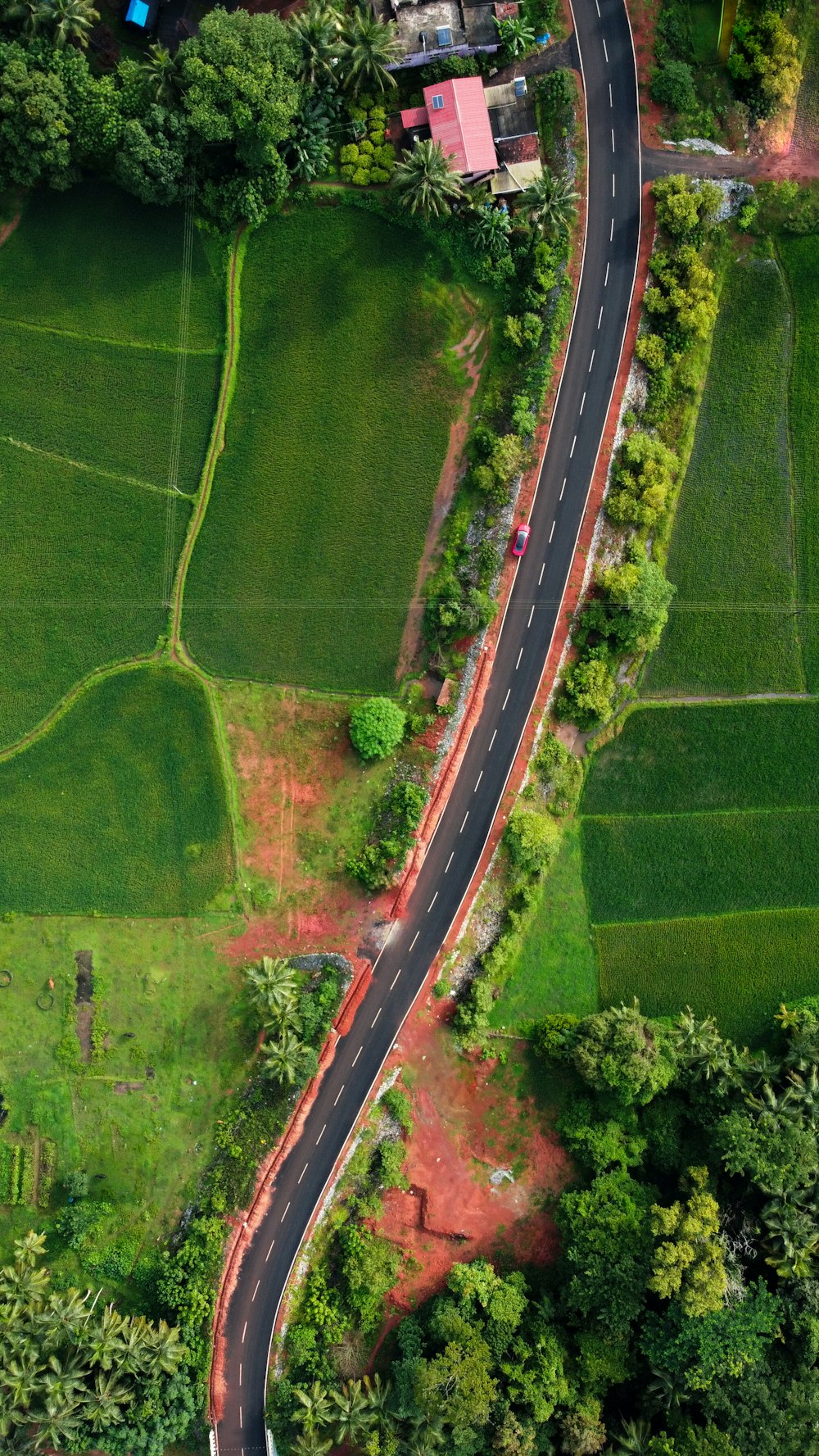 aerial view of green grass field