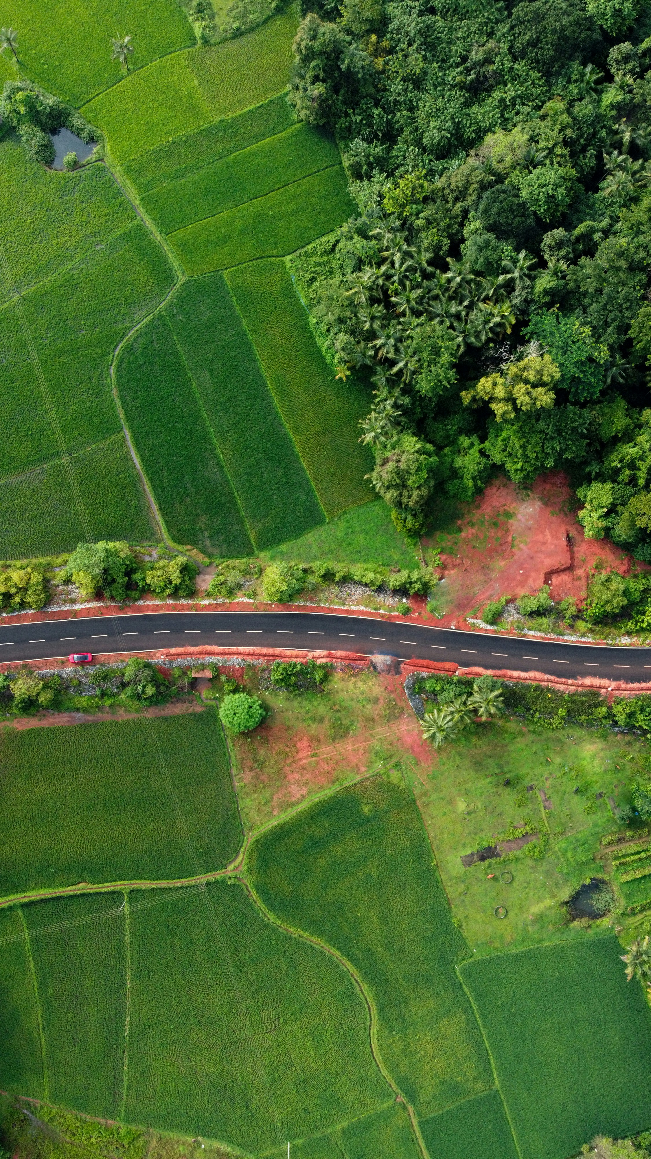 Photo by manasmanikoth