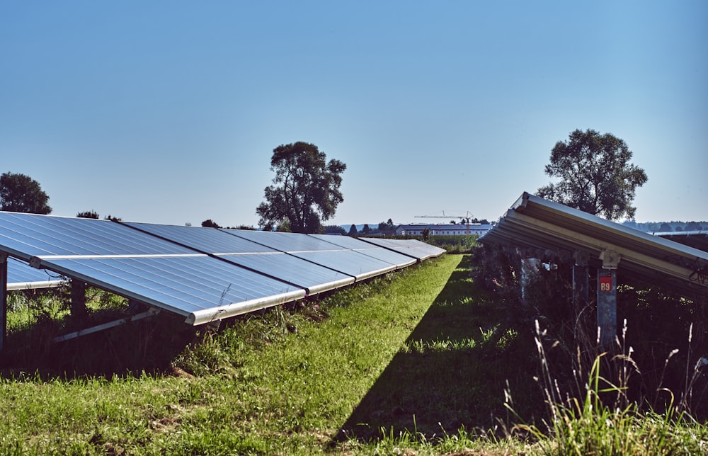 Schwarze Sonnenkollektoren auf grünem Rasenfeld unter blauem Himmel tagsüber