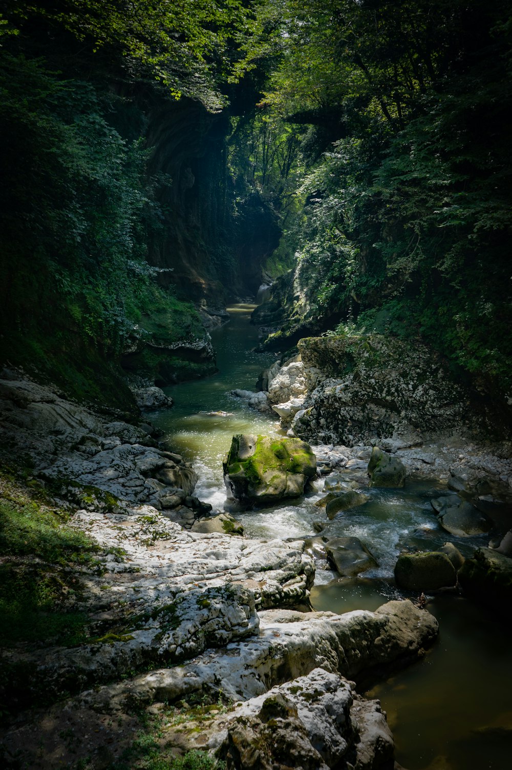 green moss on rock formation