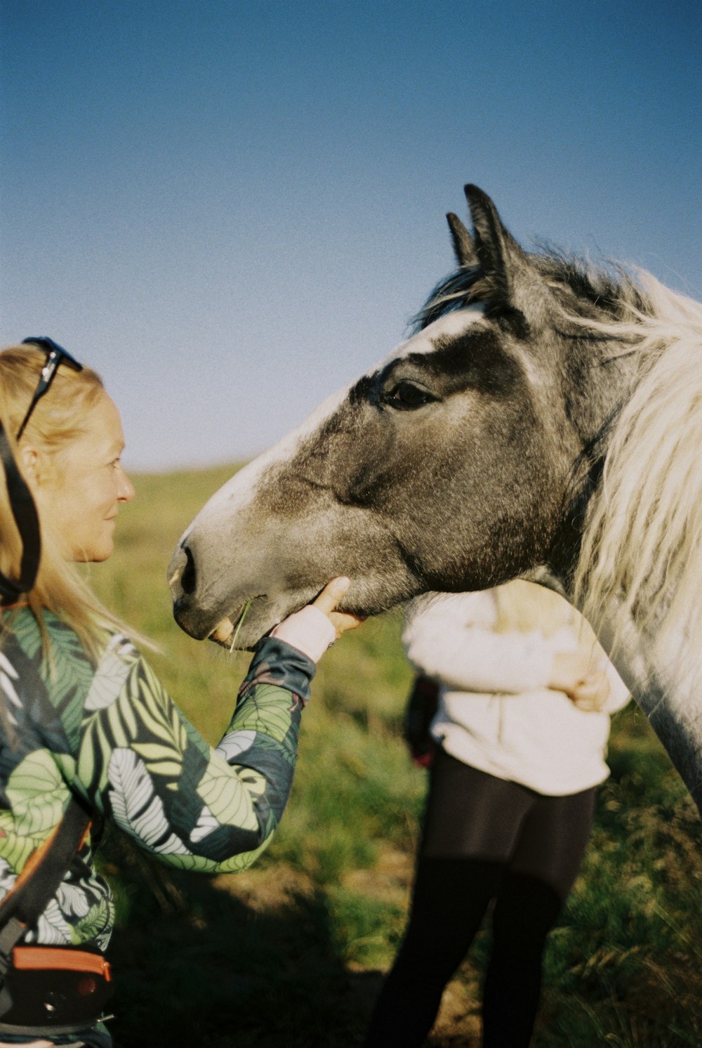 Femme en chemise à manches longues verte et blanche debout à côté d’un cheval blanc pendant la journée