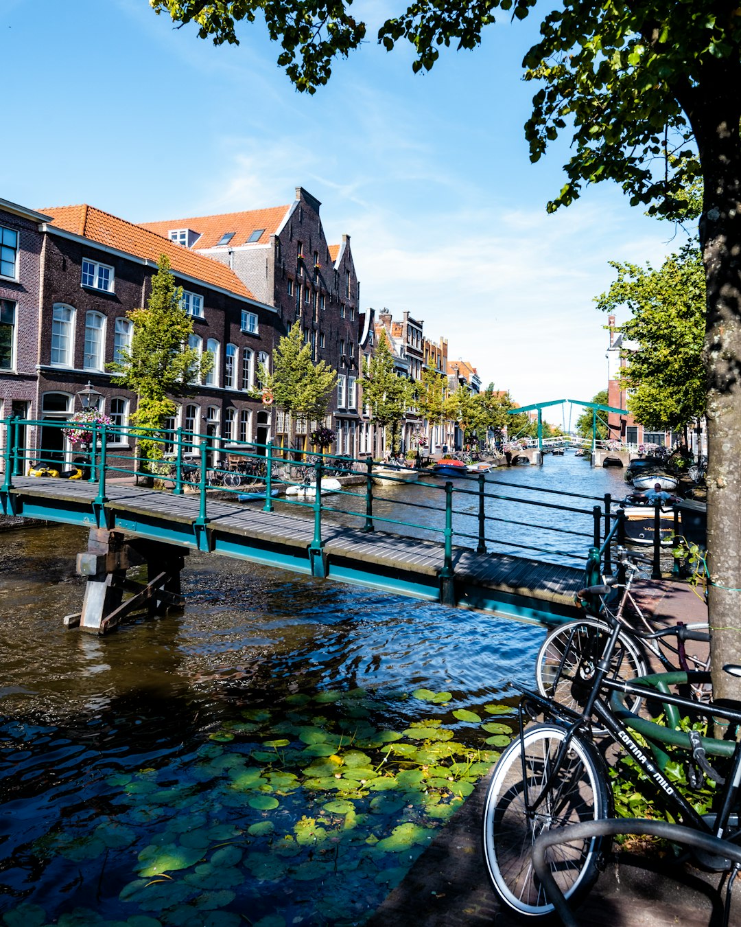 bicycle parked beside river near bridge during daytime