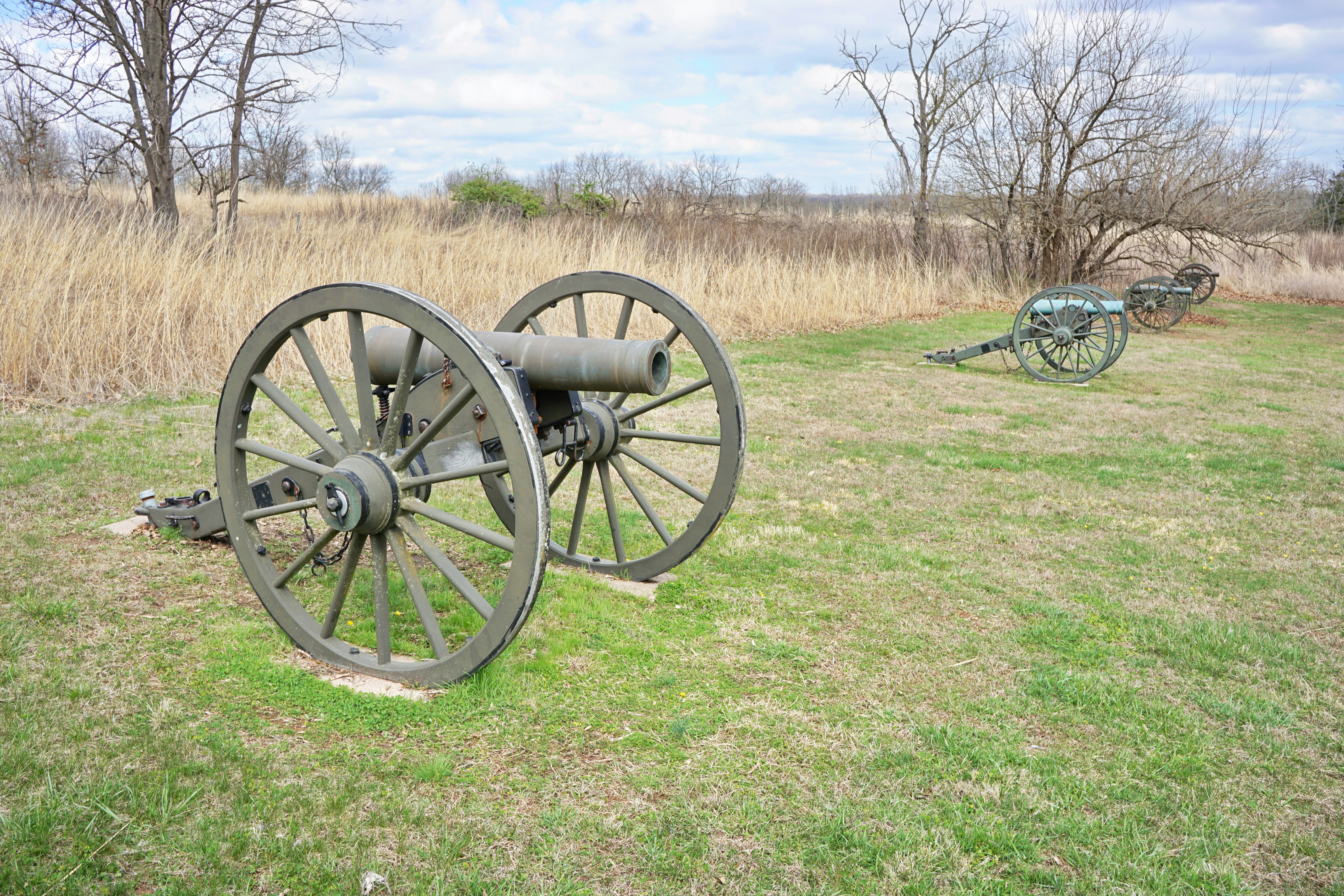 black canon on green grass field during daytime