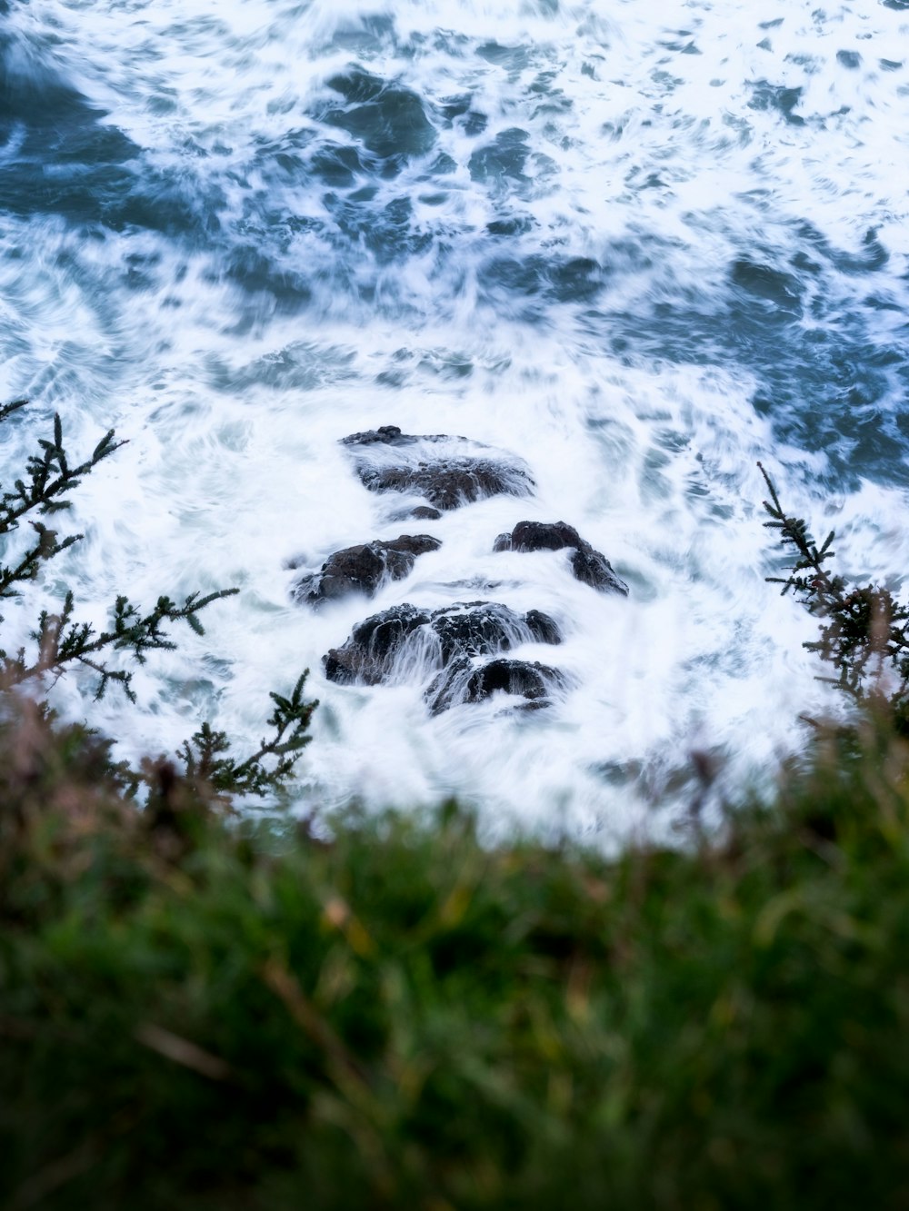 green grass near body of water during daytime