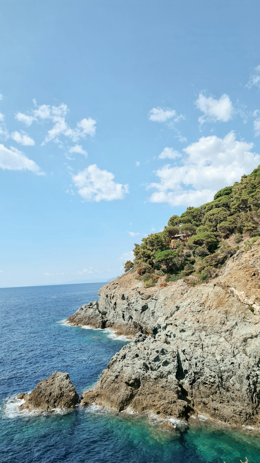 green trees on brown rocky mountain beside blue sea under blue and white cloudy sky during