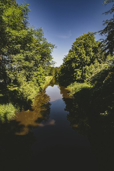 Białowieża Forest: Europe's Last Primeval Woodland