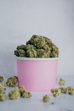 green kush in pink bucket