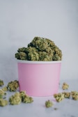 A pile of green cannabis buds is placed inside a pink cup, with more buds scattered around on a light gray surface.