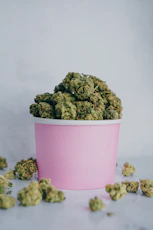 green kush in pink bucket