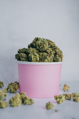 A pile of green cannabis buds is placed inside a pink cup, with more buds scattered around on a light gray surface.