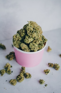 green kush in pink plastic cup