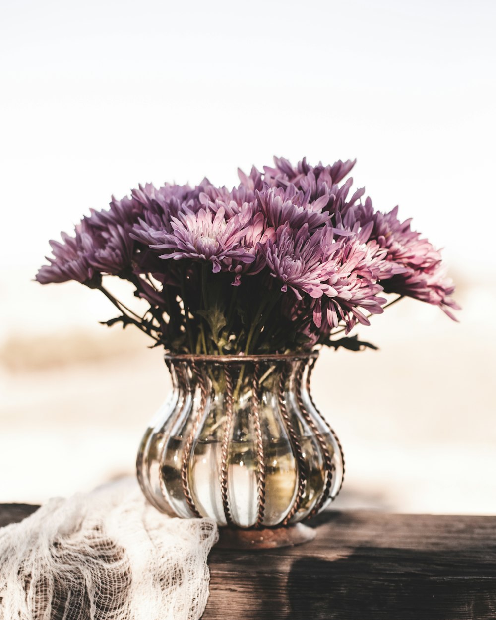 purple flower in clear glass vase