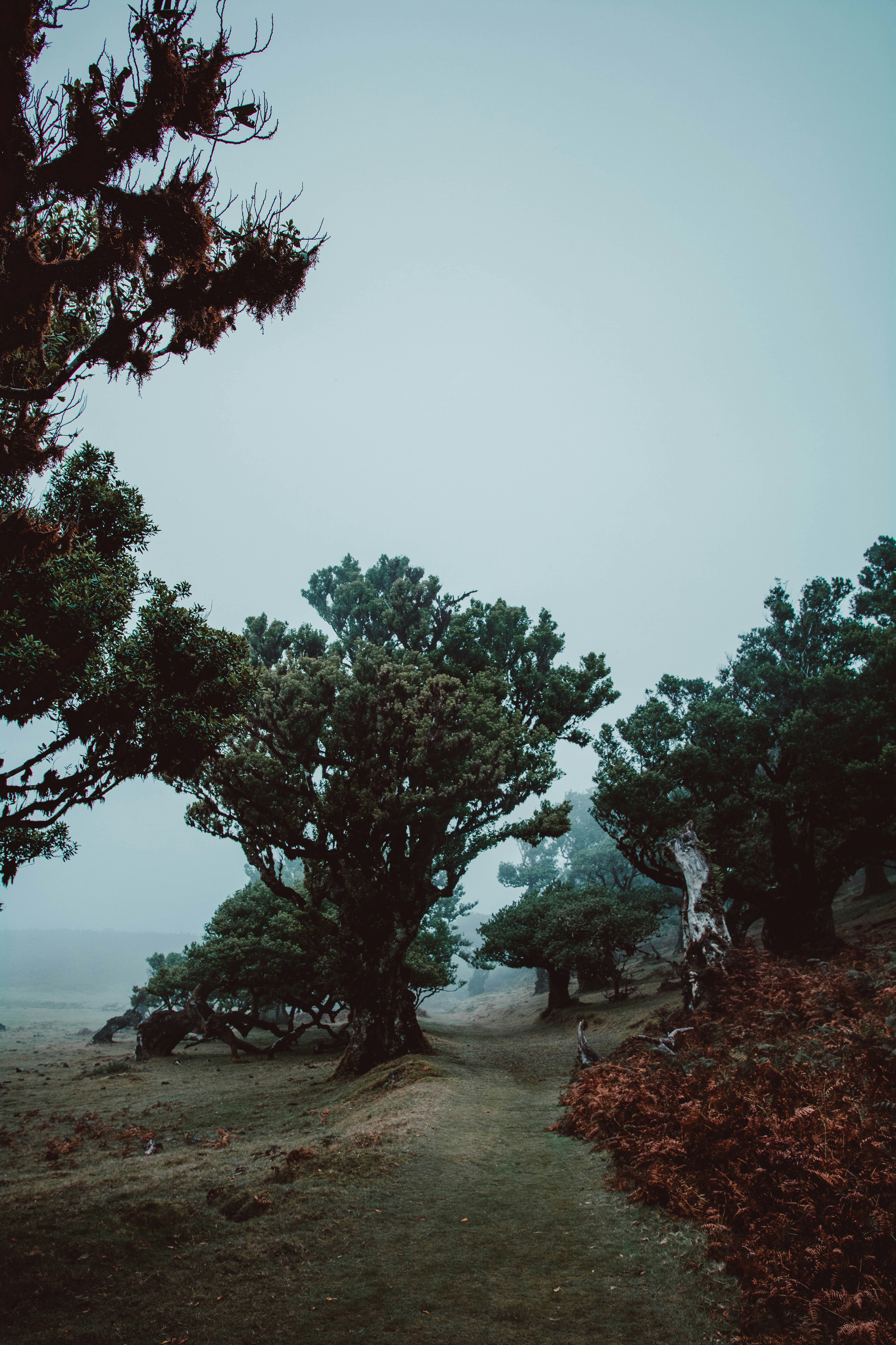 Photo by benjamin_artwok