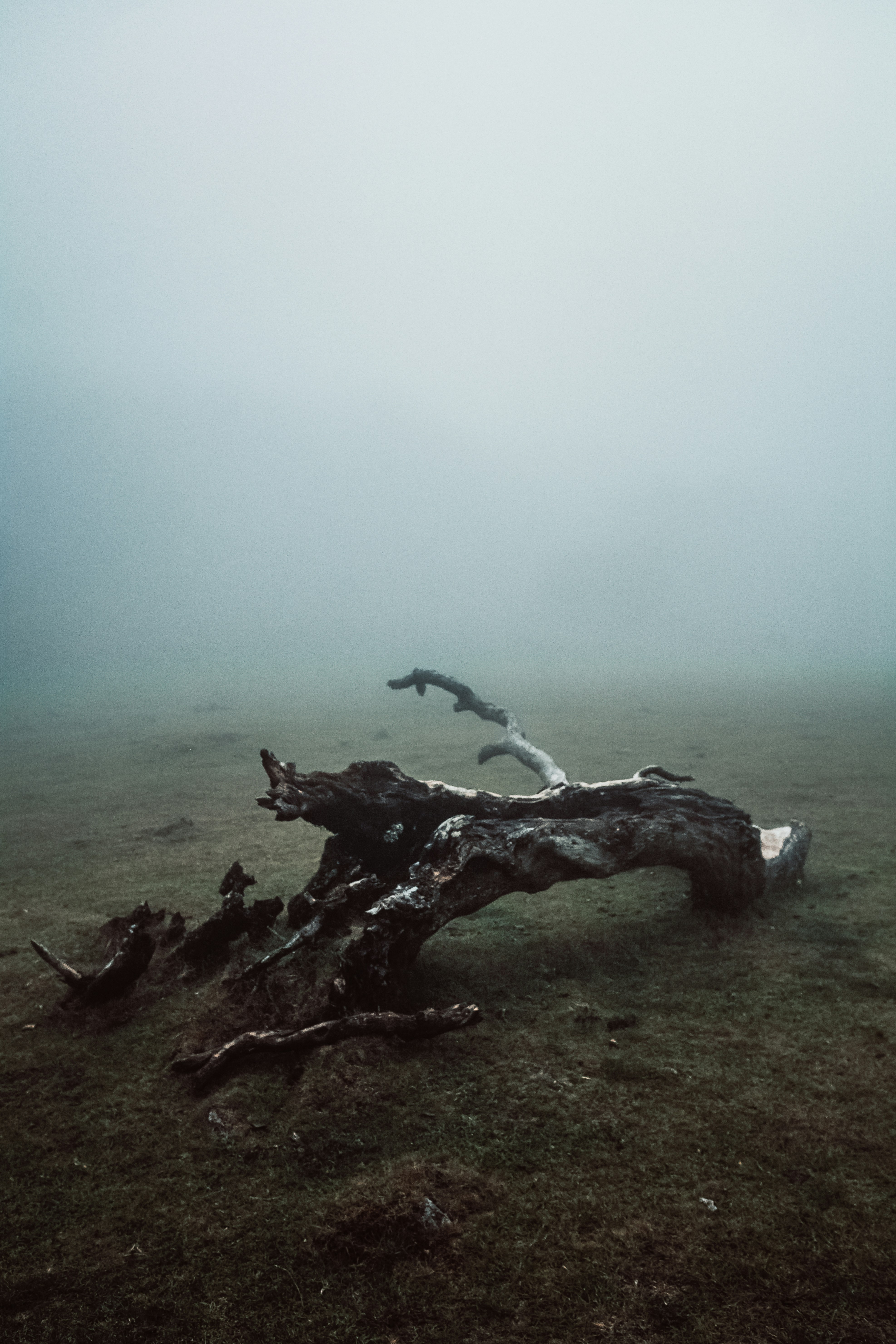 Photo by benjamin_artwok