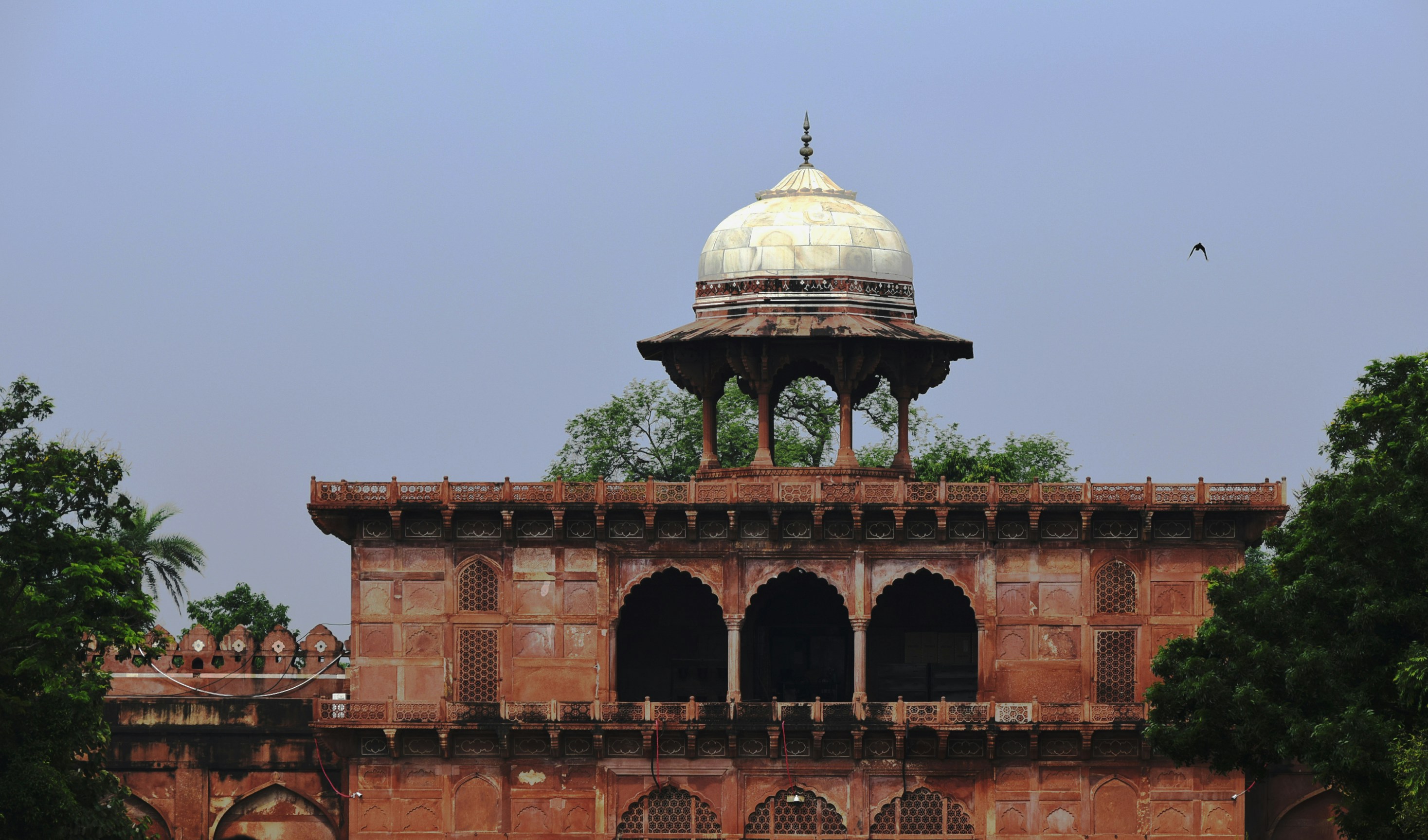 Photo by abrahamjohan