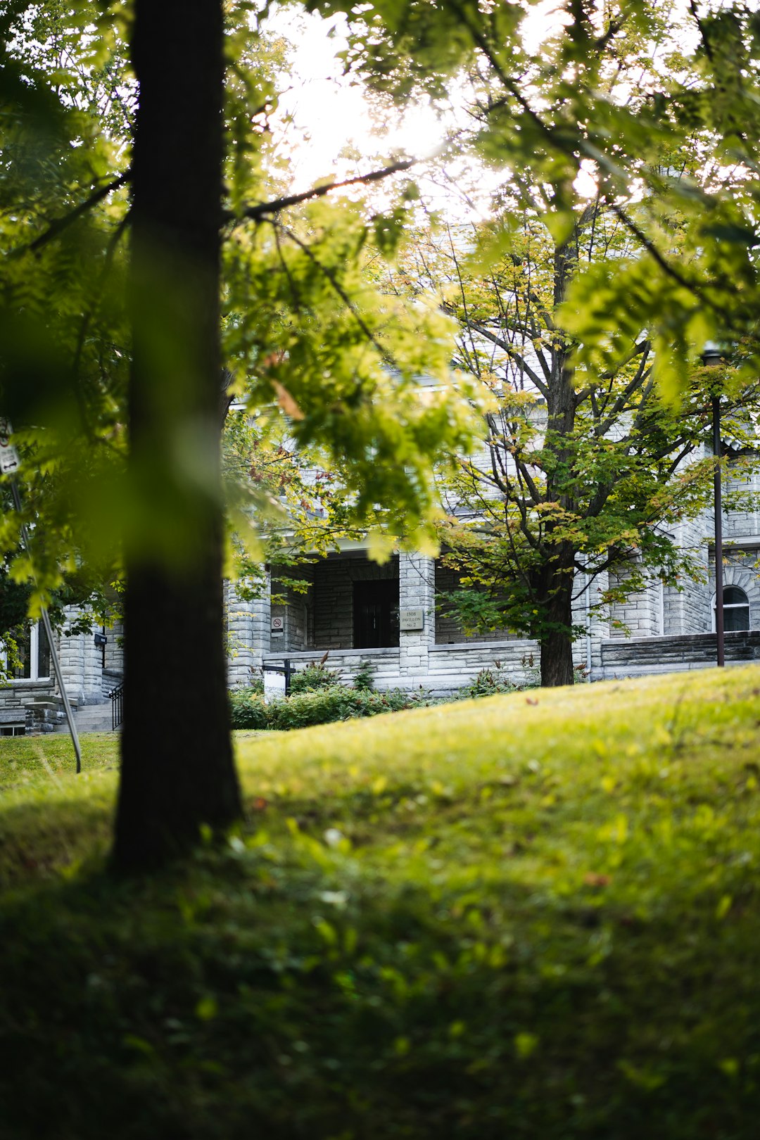 green grass field near trees and building during daytime