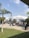 A group of diverse students engaged in a language class outdoors.