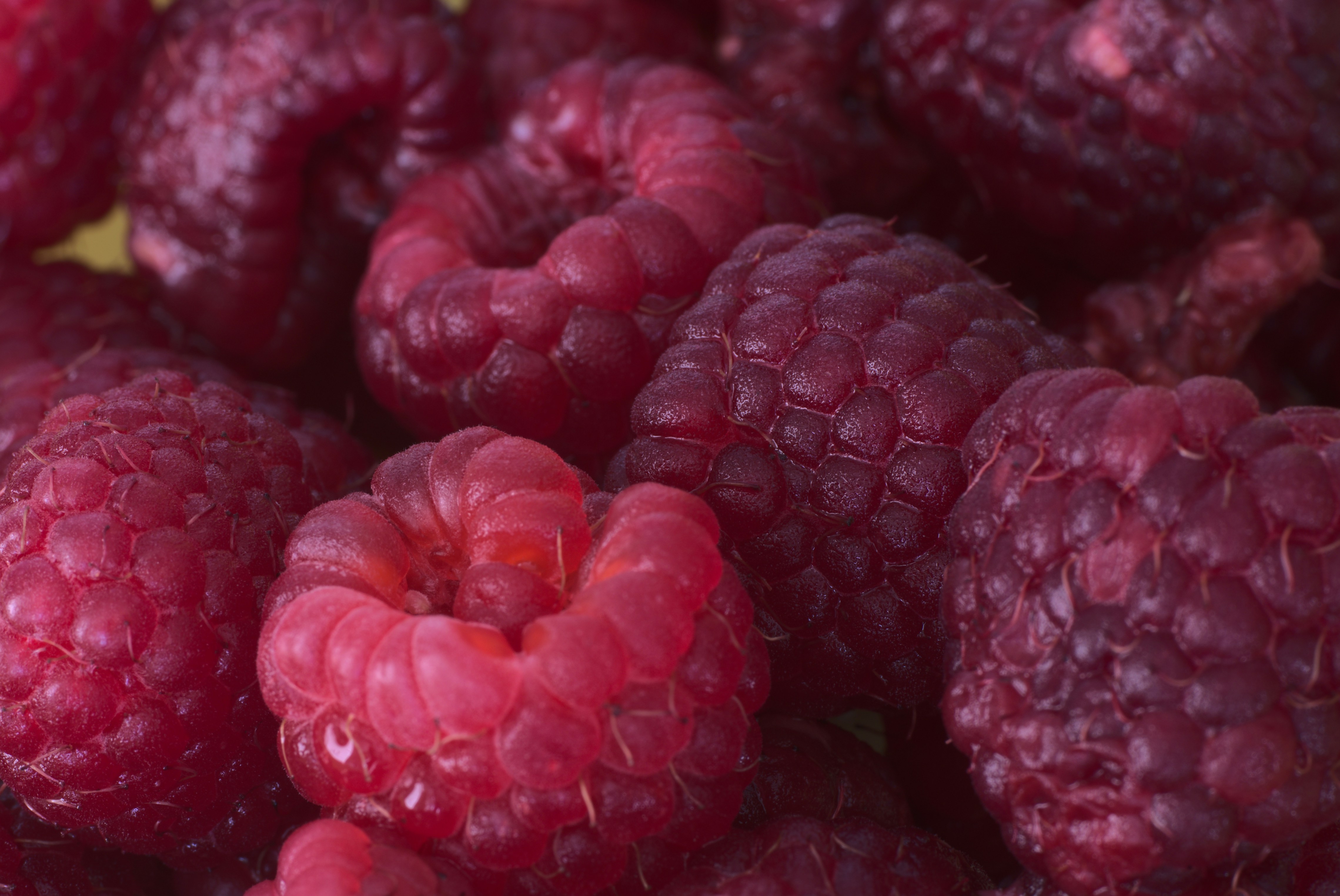 Close-up of red raspberries 