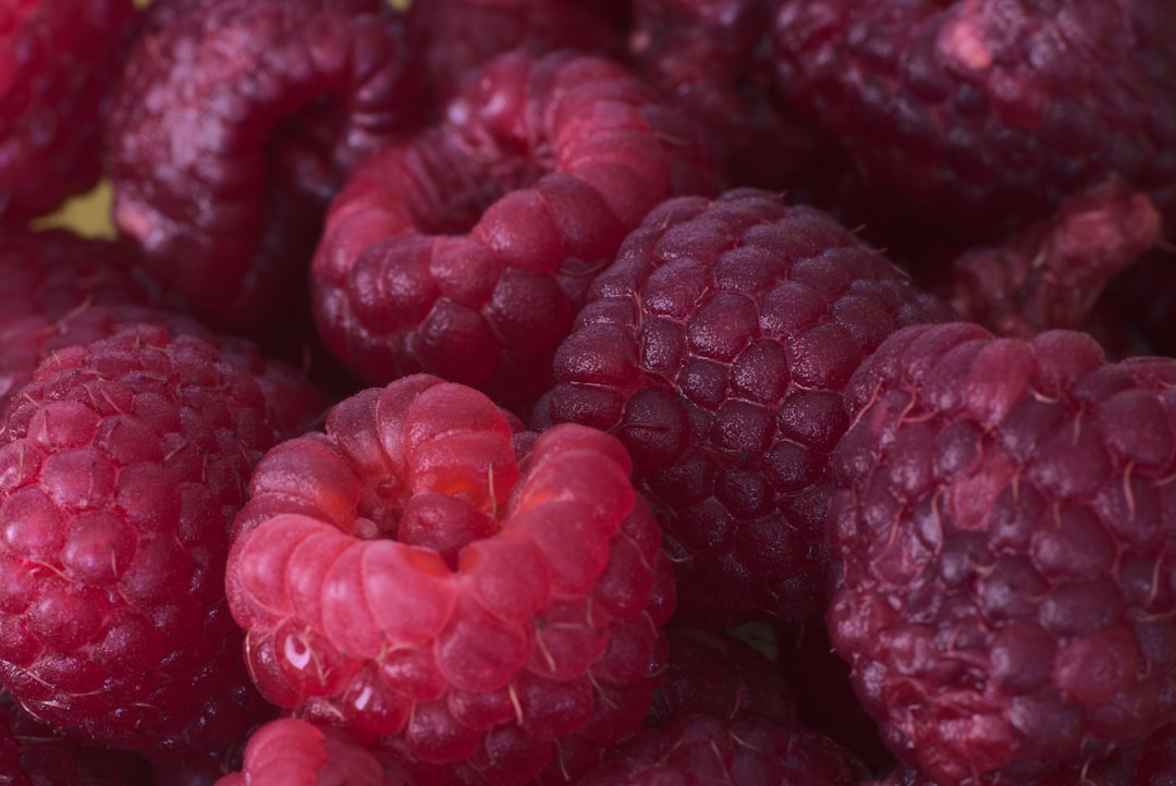 red round fruits in close up photography