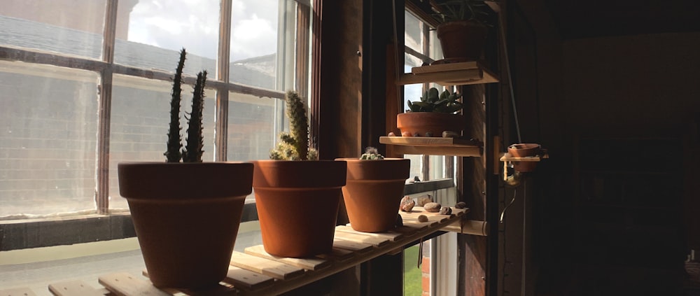 vaso di terracotta marrone su ripiano in legno marrone