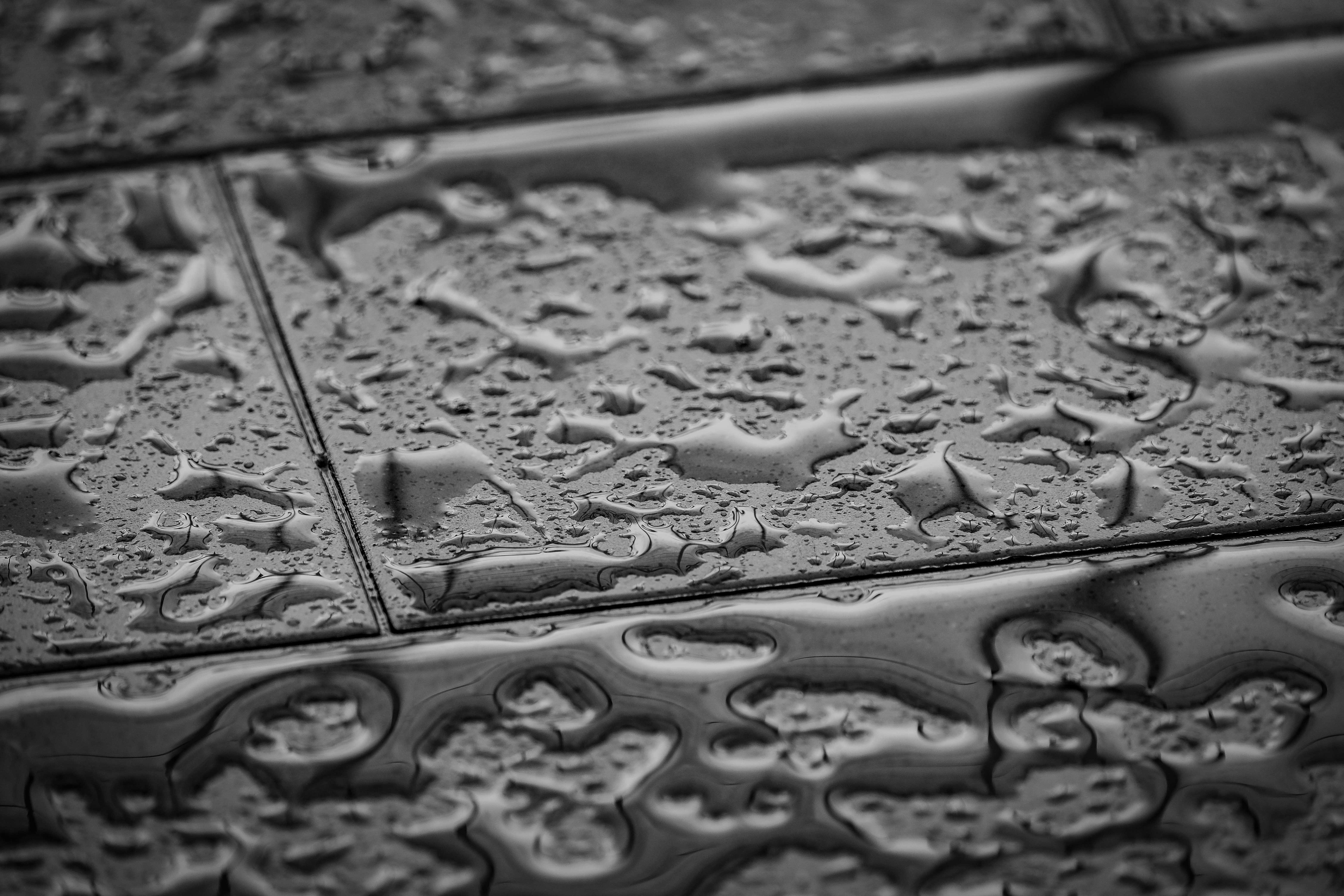 Photo by francesco_ungaro