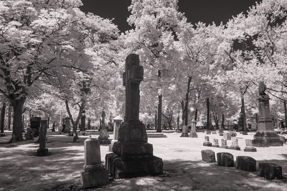 brown concrete statue near trees during daytime