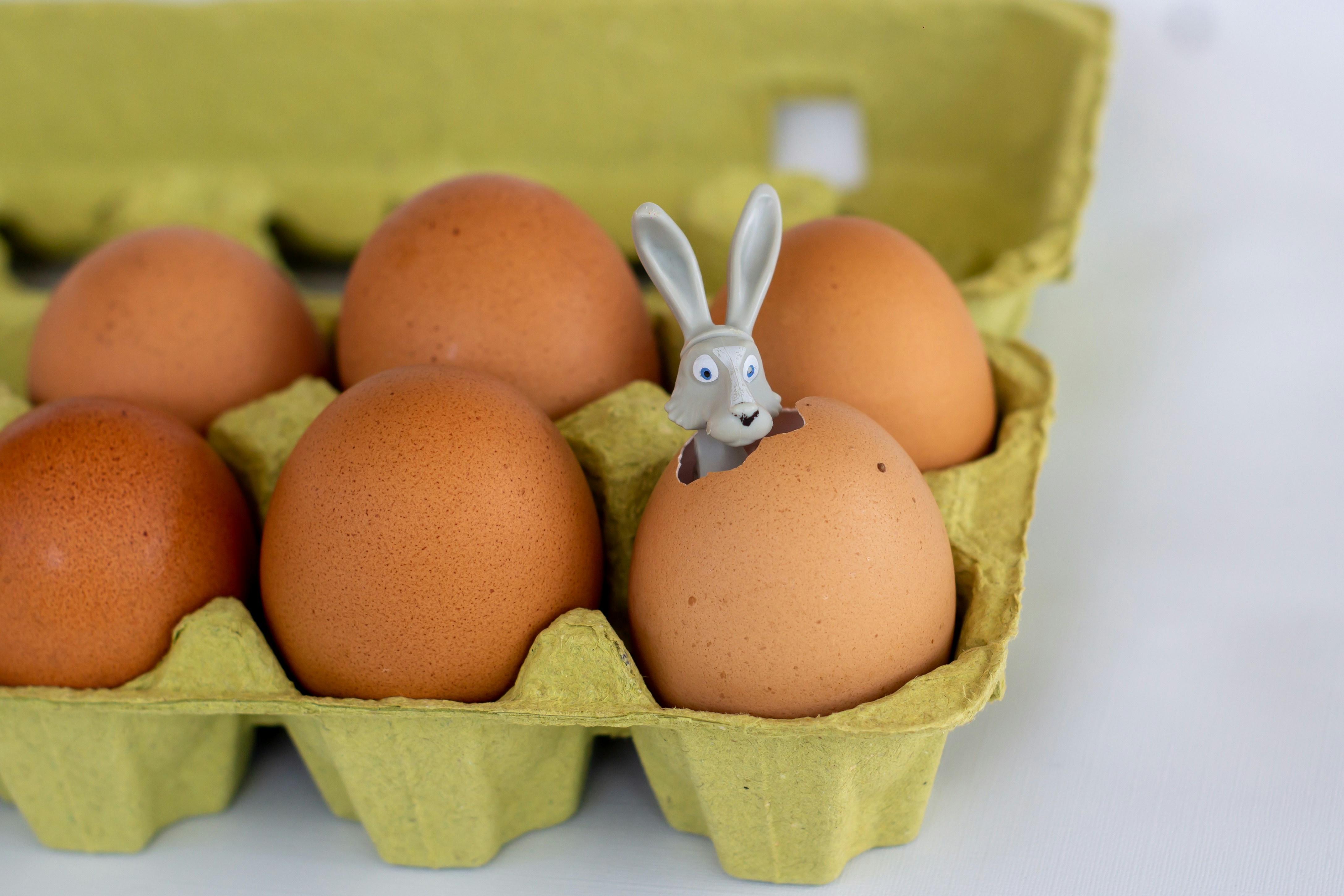 brown eggs in brown egg tray