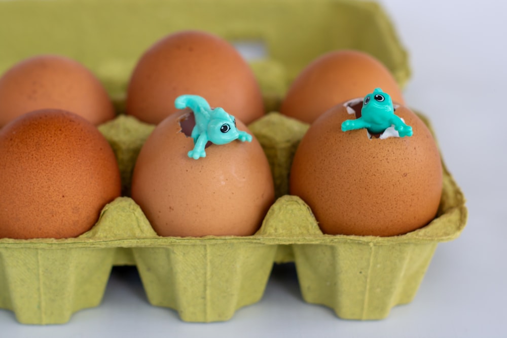 blue and white bird on egg shell