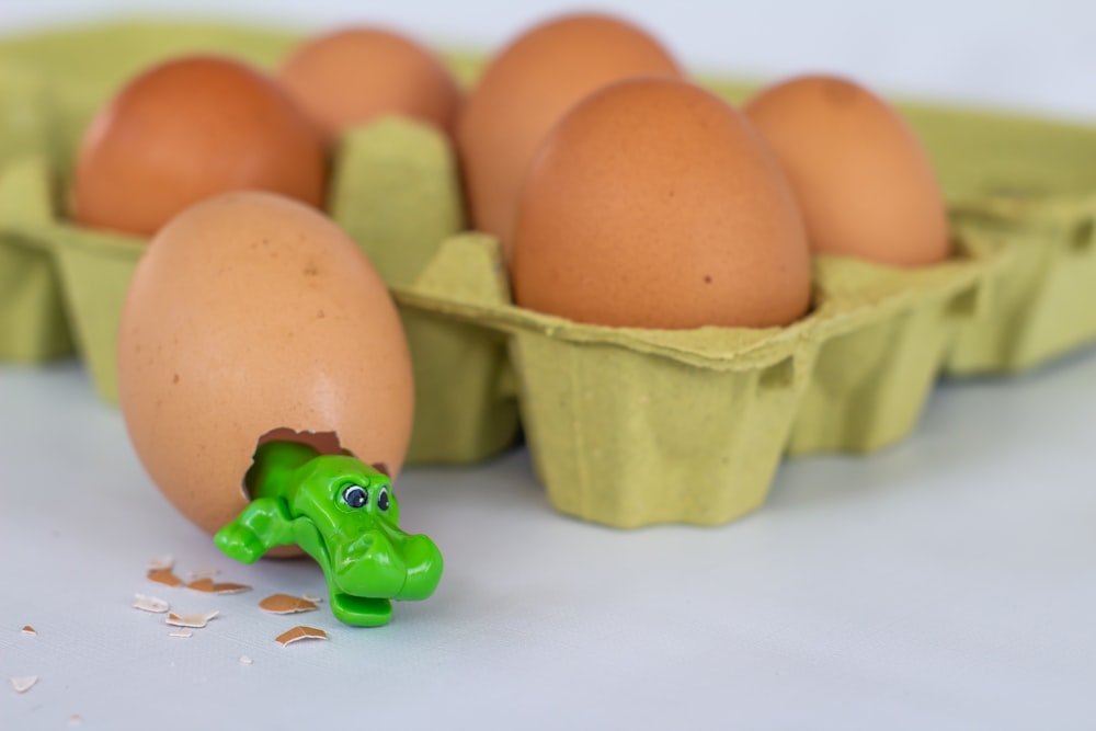 brown egg on green plastic tray