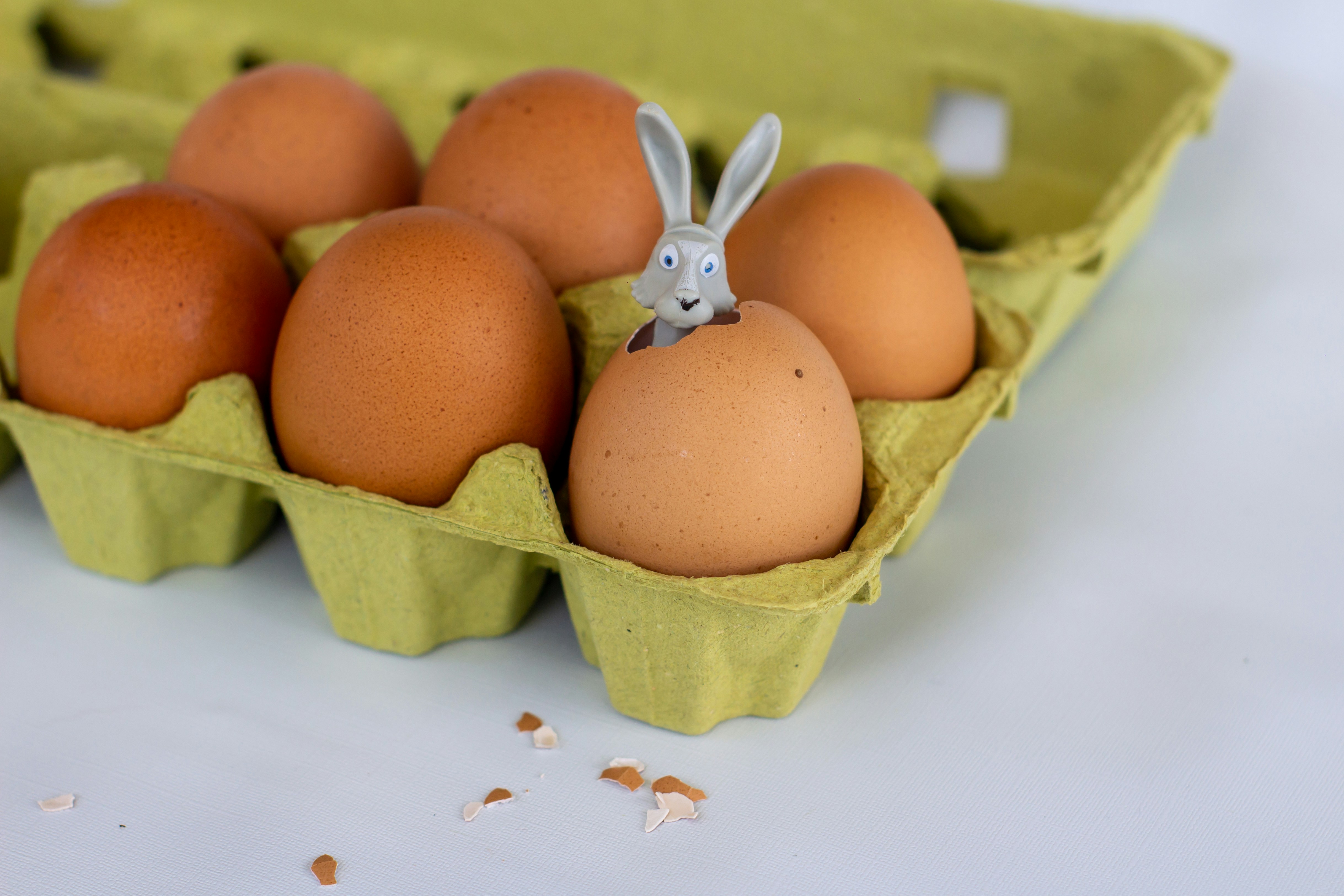 brown eggs in green egg tray