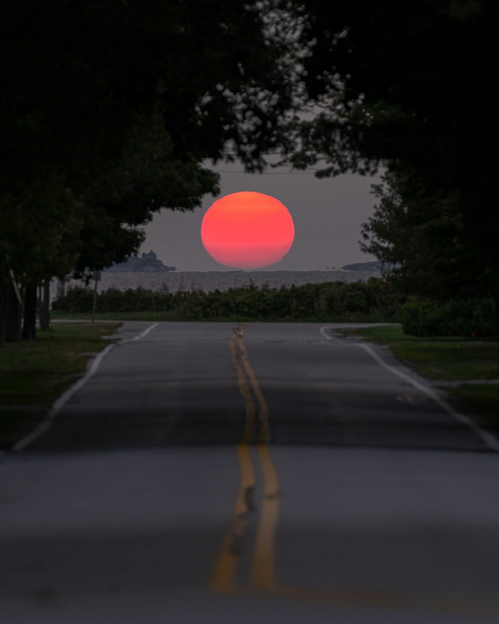 green trees and gray concrete road during sunset